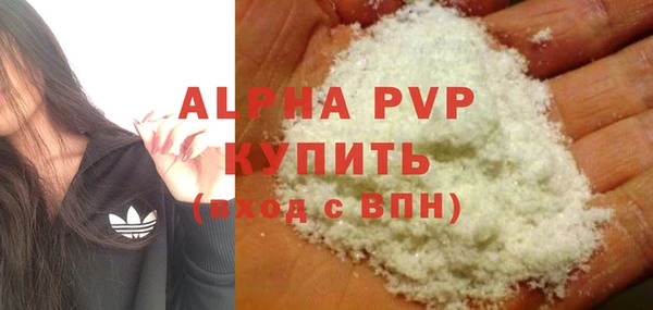 молекула духа Алексин