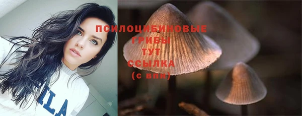 дживик Алексеевка