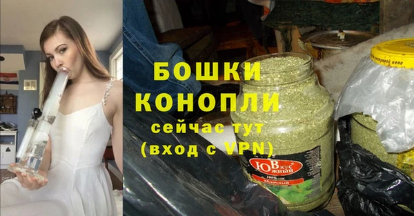 шишки Алзамай