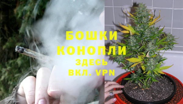 шишки Алзамай